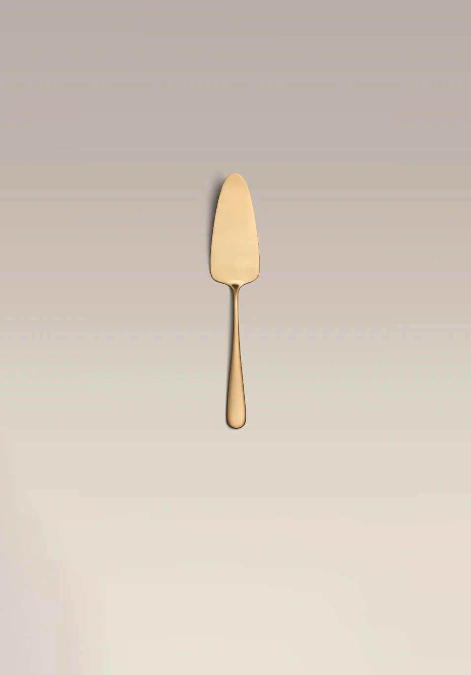 Cake Server